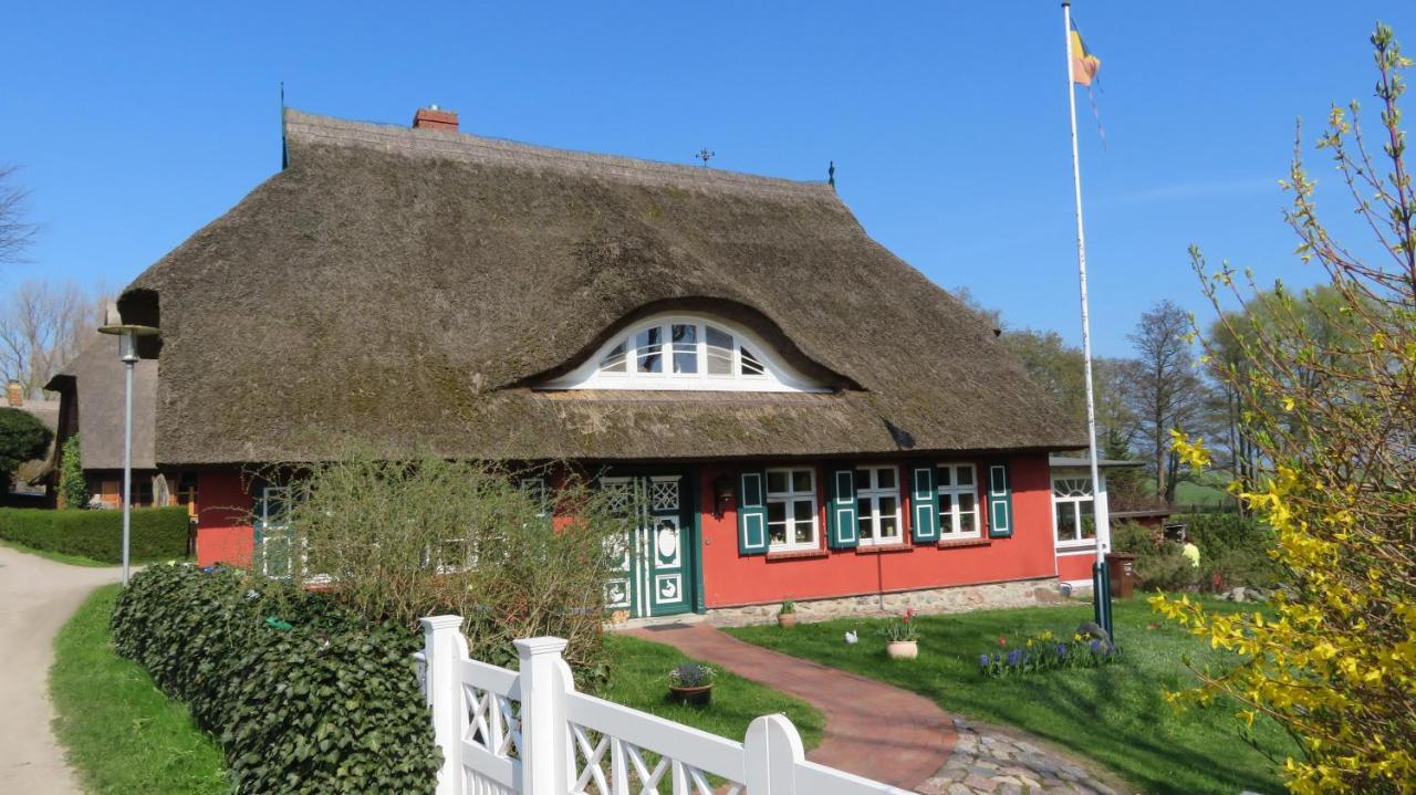Strandstr_51 Wohnung 9 Zingst Exterior foto